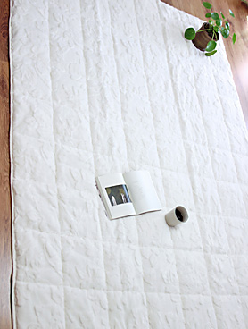 ��ǰ ������