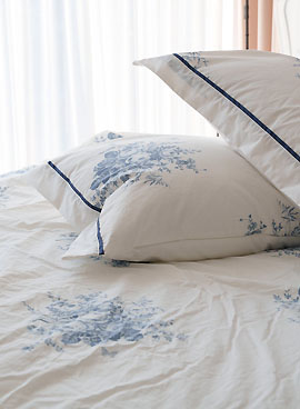 ��ǰ ������