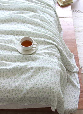 ��ǰ ������